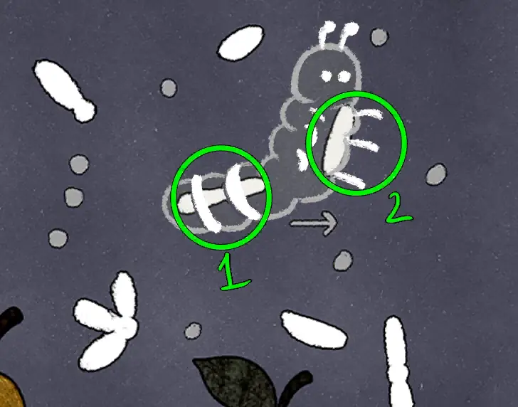 The Lost Forest Puzzle Level 159 hint 2