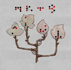 The Lost Forest Puzzle Level 21