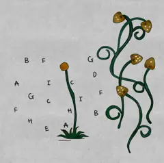The Lost Forest Puzzle Level 25