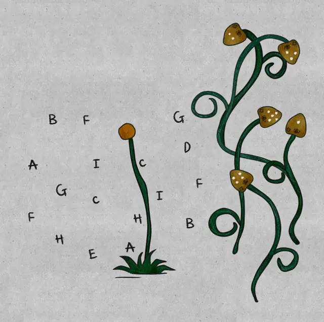 The Lost Forest Puzzle Level 25 walkthrough