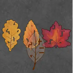 The Lost Forest Puzzle Level 34