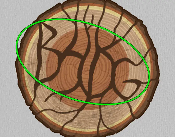 The Lost Forest Puzzle Level 37 hint 2