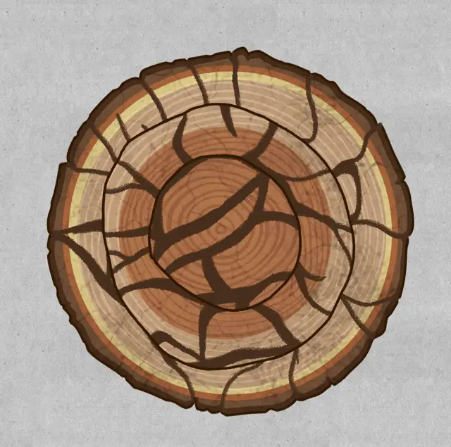 The Lost Forest Puzzle Level 37 walkthrough