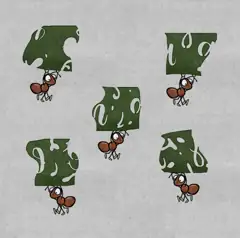 The Lost Forest Puzzle Level 42