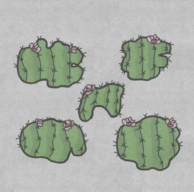 The Lost Forest Puzzle Level 56 walkthrough