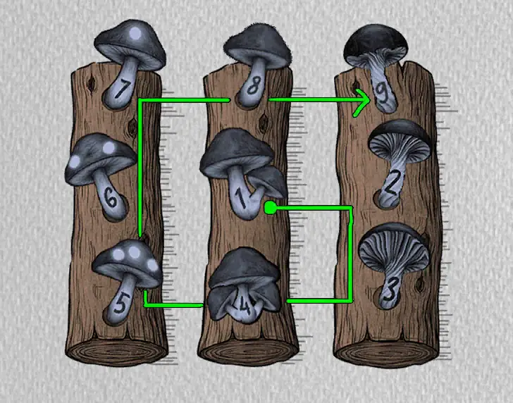 The Lost Forest Puzzle Level 91 hint 2