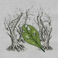The Lost Forest Puzzle Level 95