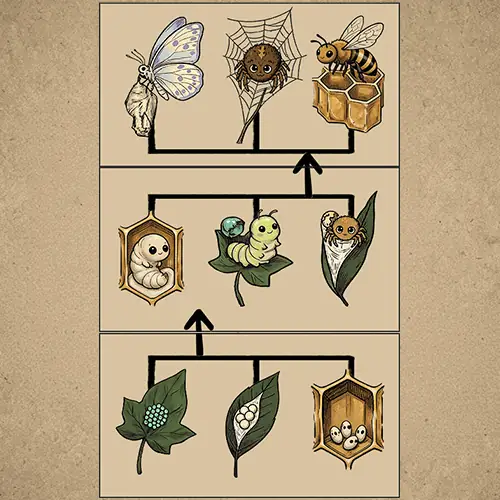 Tree Forest Level 35 hint