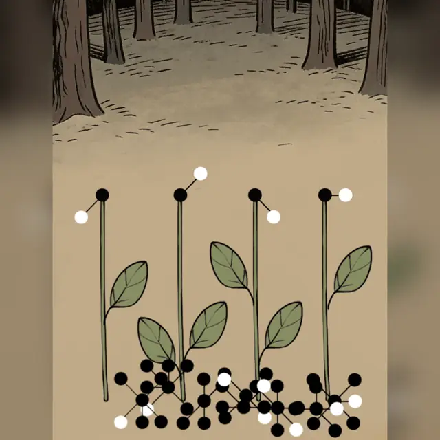 Tree Forest Detective Words Level 50 walkthrough